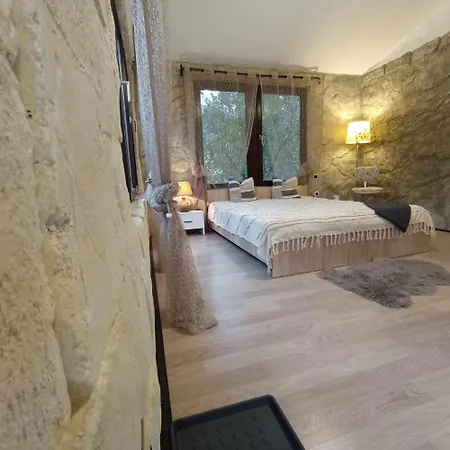 Forest Hide Tiny House Villa Covasna