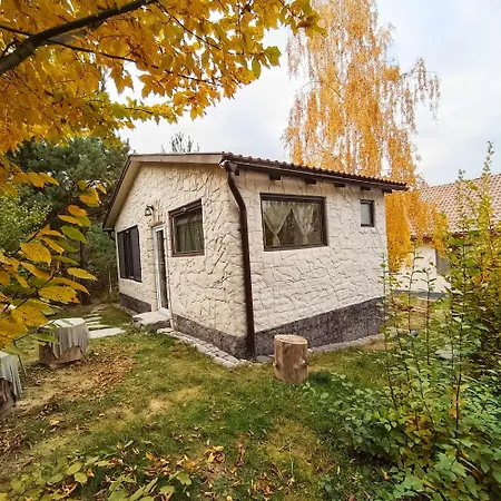 Forest Hide Tiny House Villa *