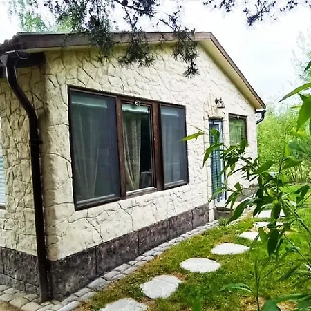 Forest Hide Tiny House * Covasna