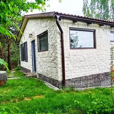 Forest Hide Tiny House Villa